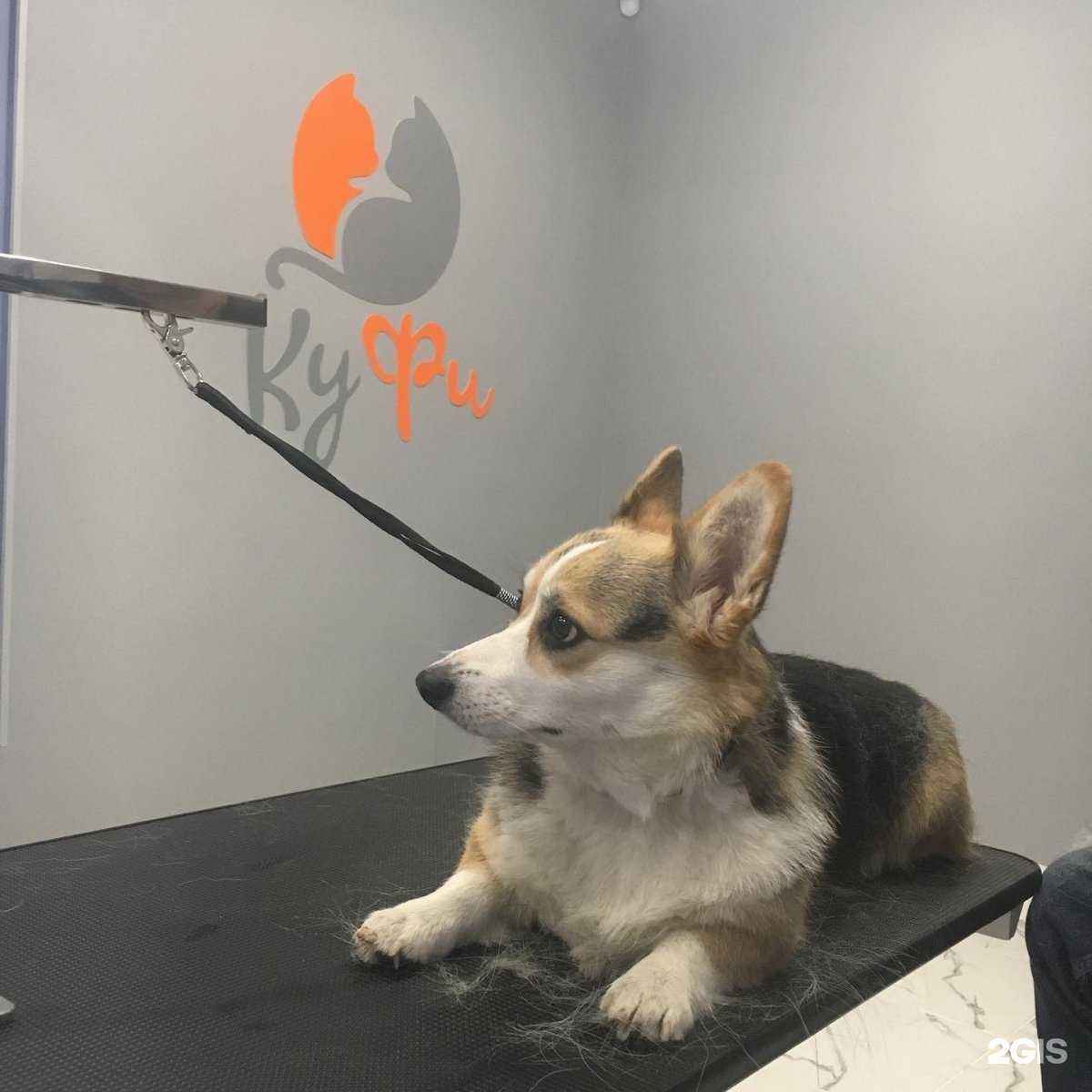 Отзывы на компанию Куфи в Коммунарке c фото