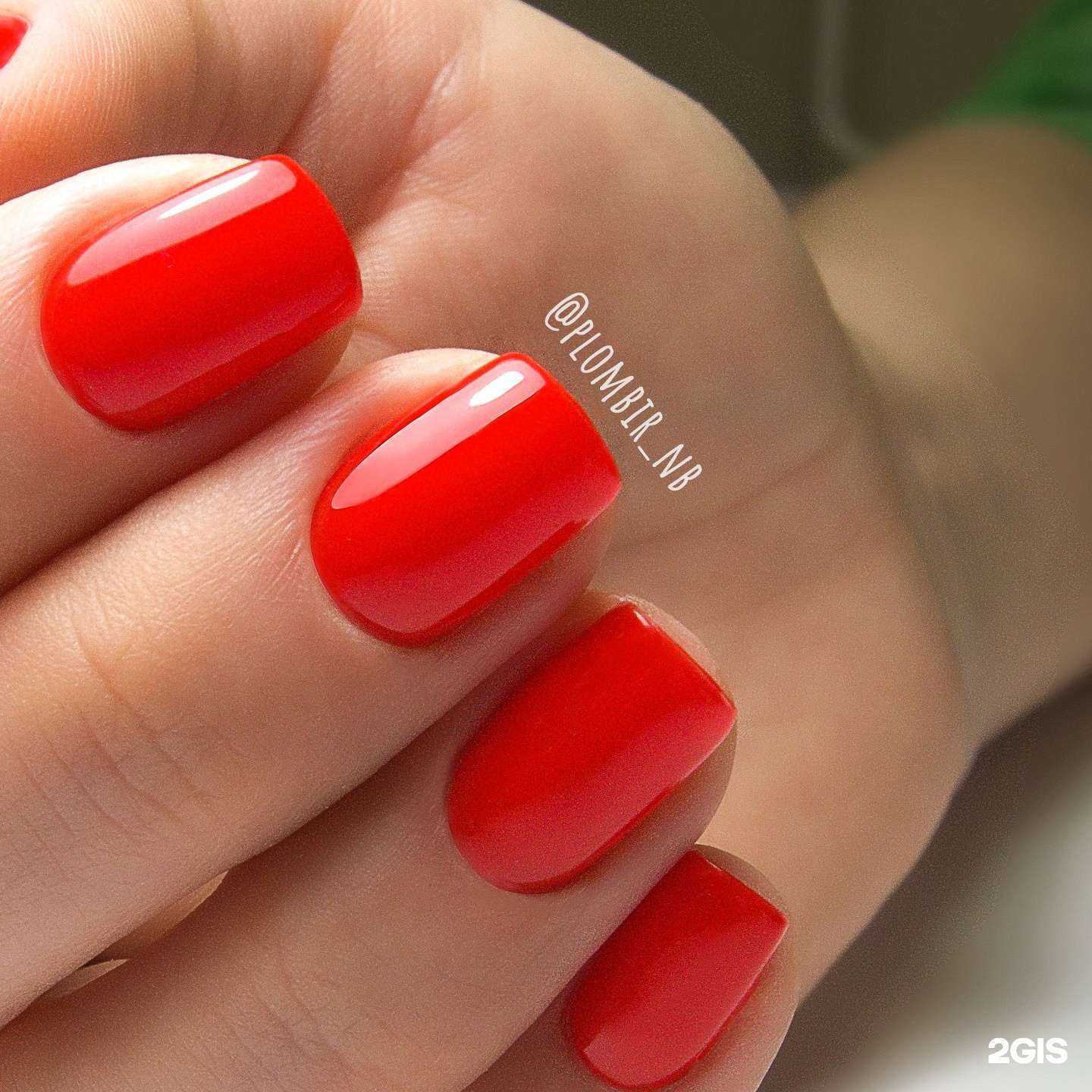 Отзывы на компанию Plombir в Иванове c фото