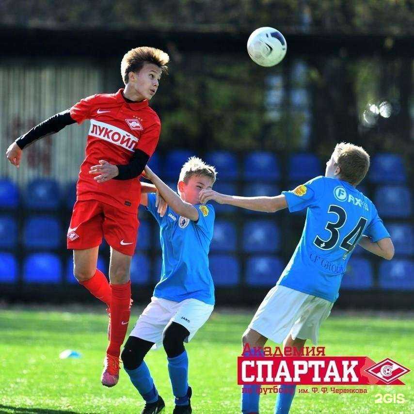 Отзывы на компанию Спартак в Сочи c фото