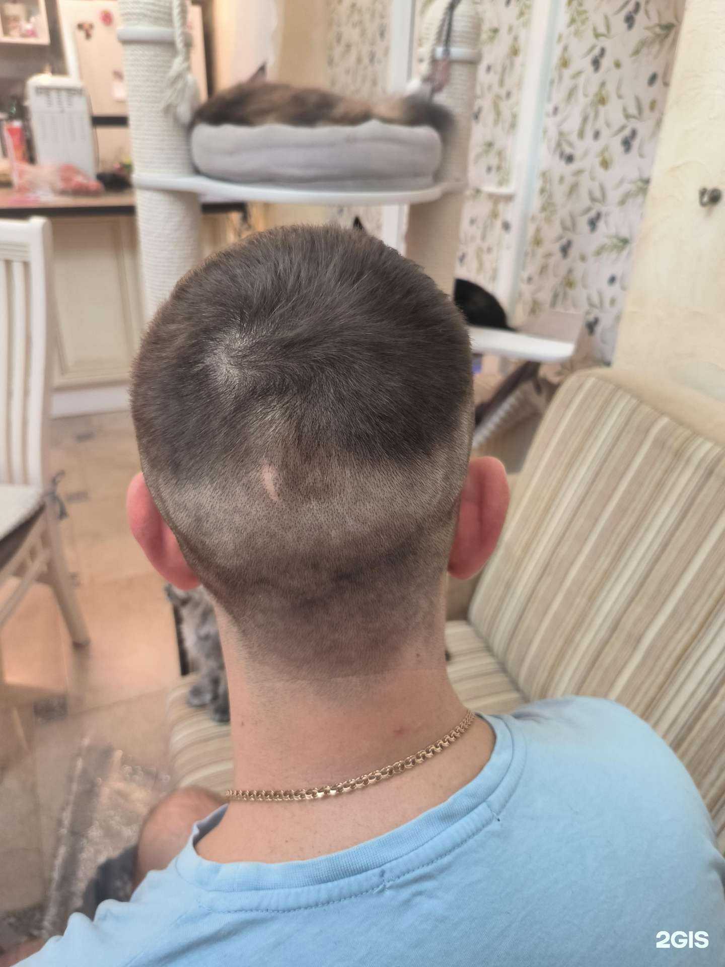 Отзывы на компанию Марк в Краснодаре c фото