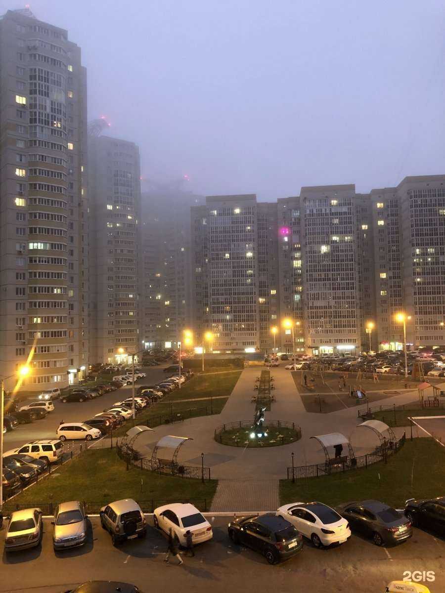 Отзывы на компанию Черника в Воронеже c фото - фотография 2 из 2