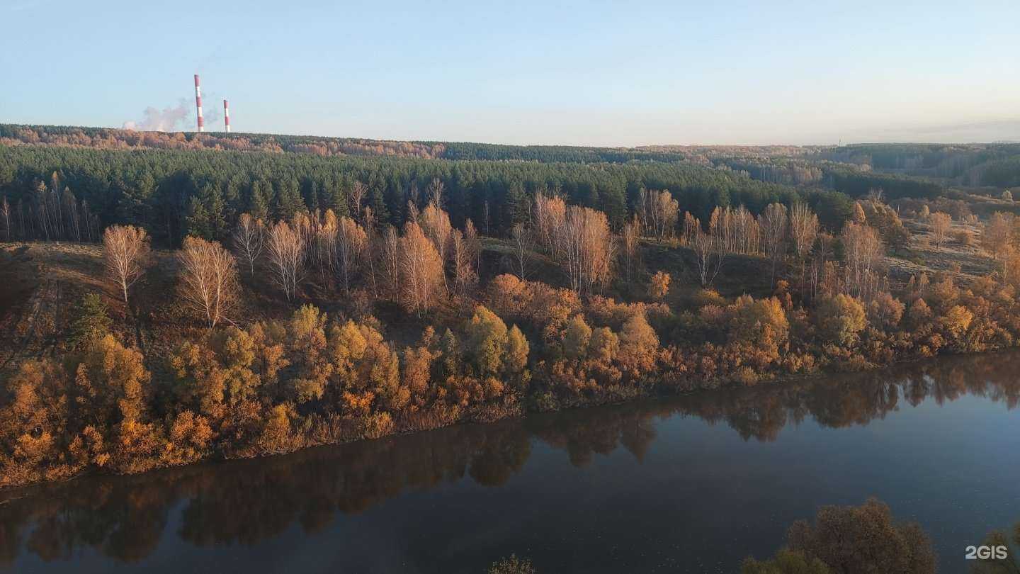Отзывы на компанию Sharletto в Новосибирске c фото
