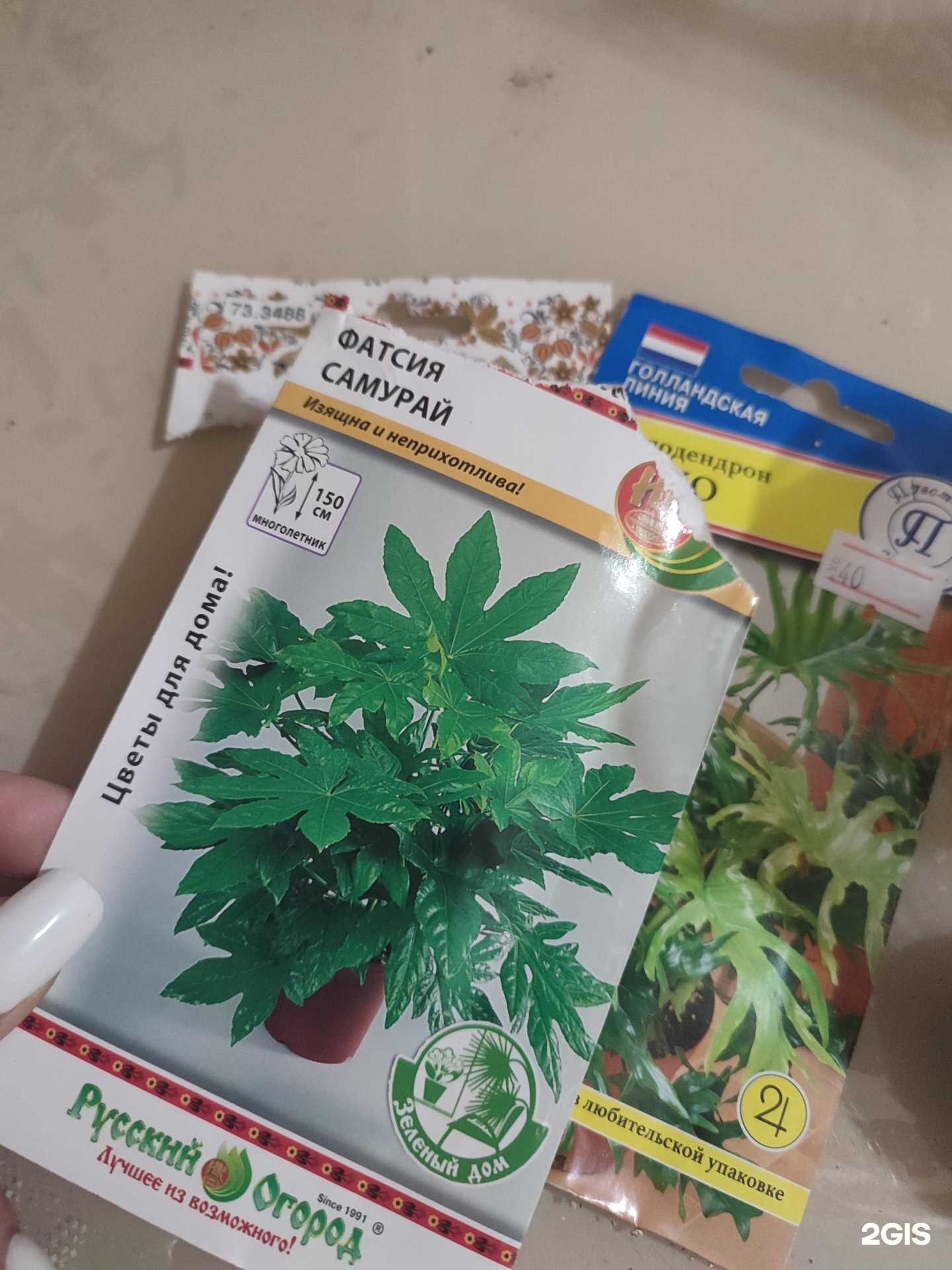 Отзывы на компанию Сибирский сад в г. Новосибирск c фото