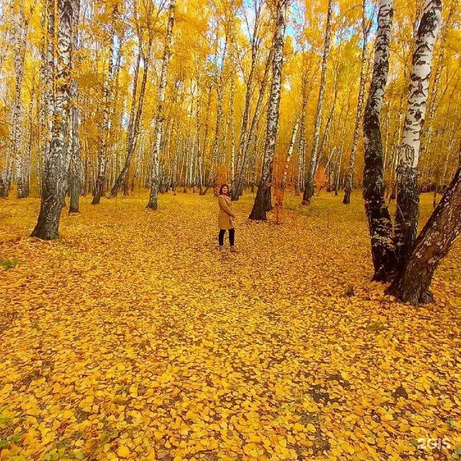 Отзывы на компанию Юмас в г. Копейск c фото