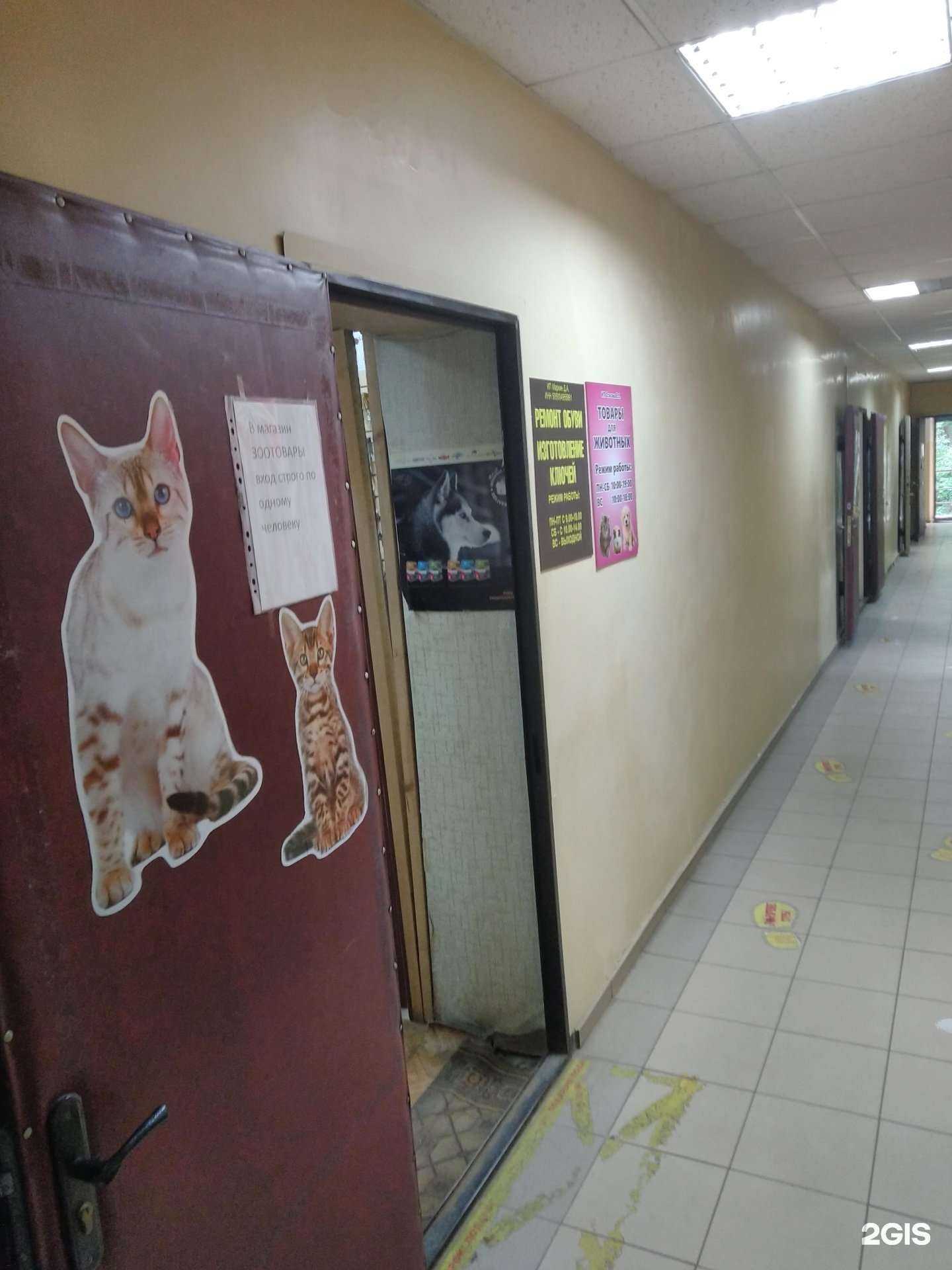 Отзывы на компанию Зоомагазин в Лосино-Петровском c фото