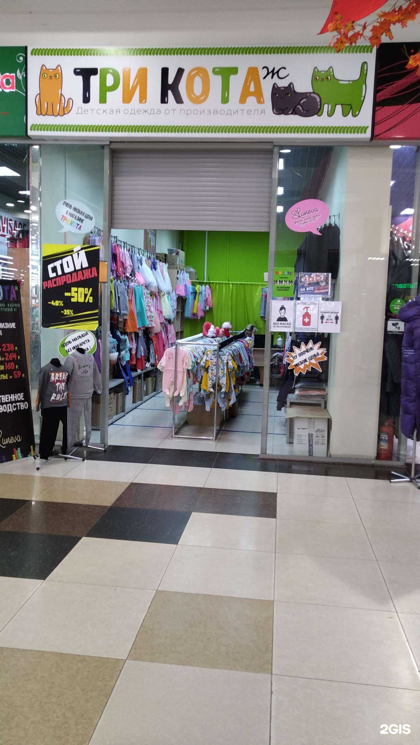 Отзывы на компанию Три Кота-ж в г. Орёл c фото