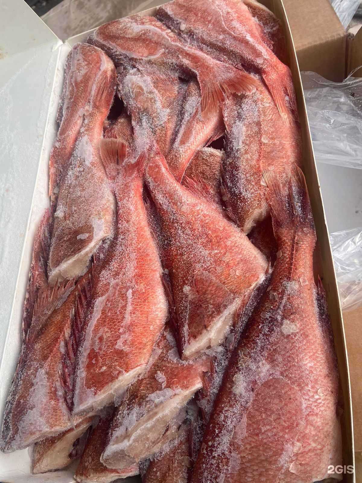 Отзывы на компанию Рыбный день 56 в Оренбурге c фото