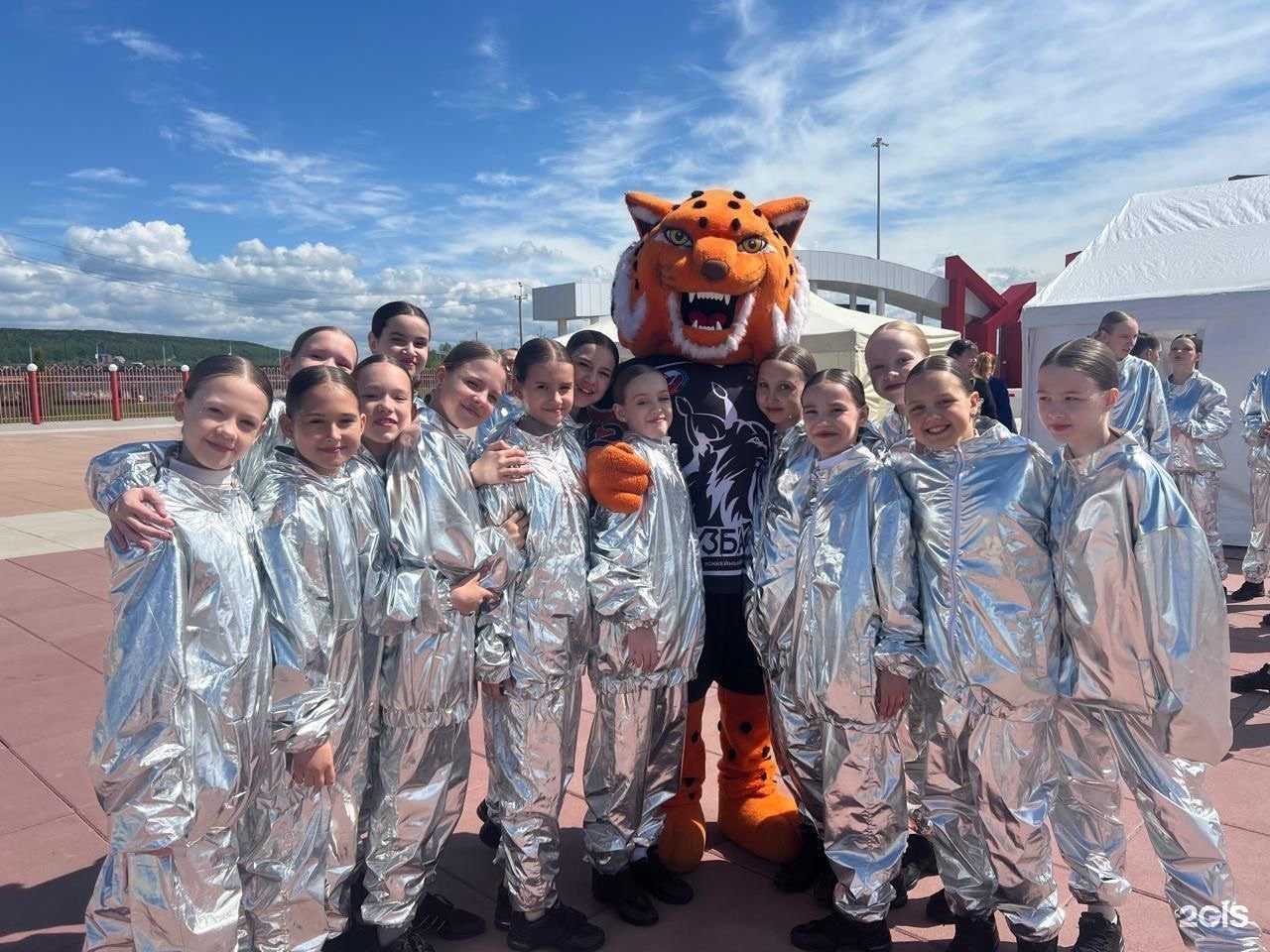 Отзывы на компанию Dominanta42 в г. Кемерово c фото