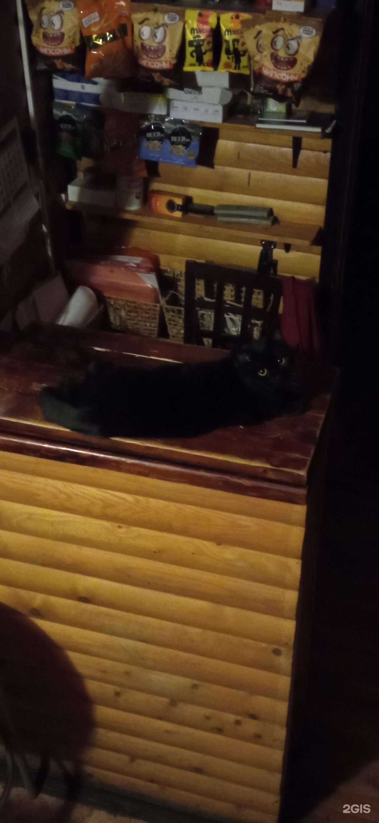 Отзывы на компанию Черный кот в Ярославле c фото