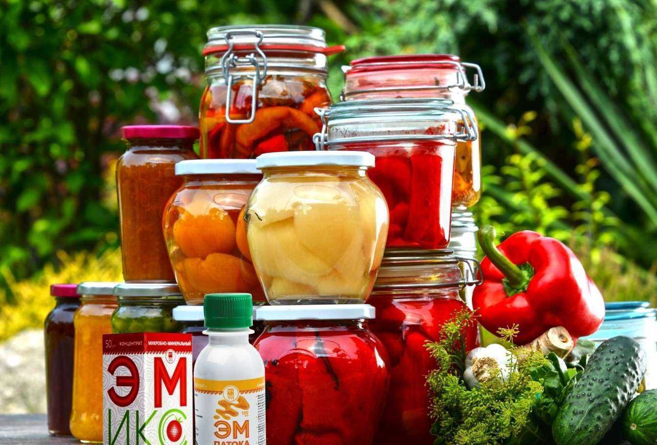 Отзывы на компанию Арго в г. Улан-Удэ c фото