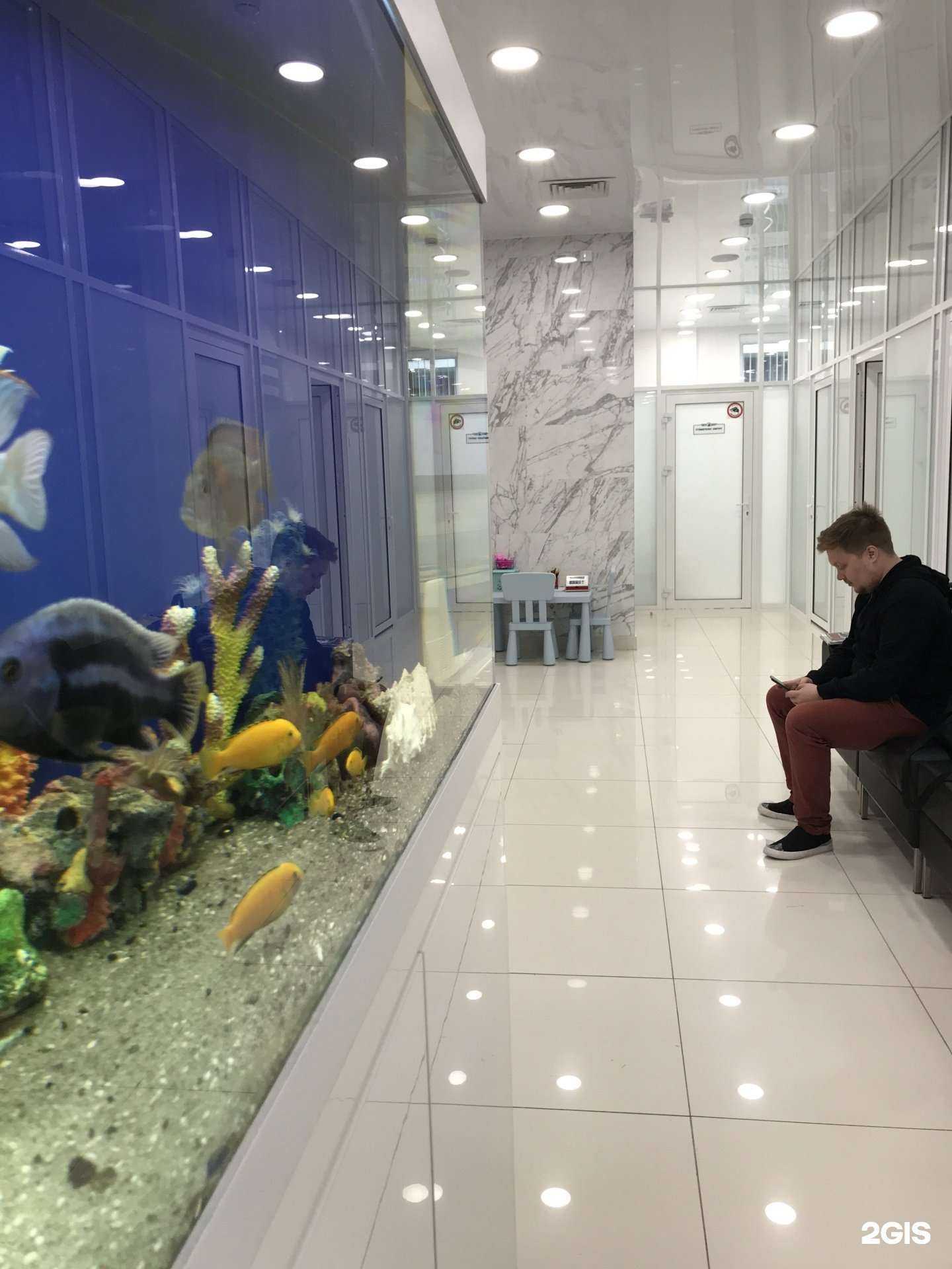 Отзывы на компанию Мега-Дент в Тюмени c фото