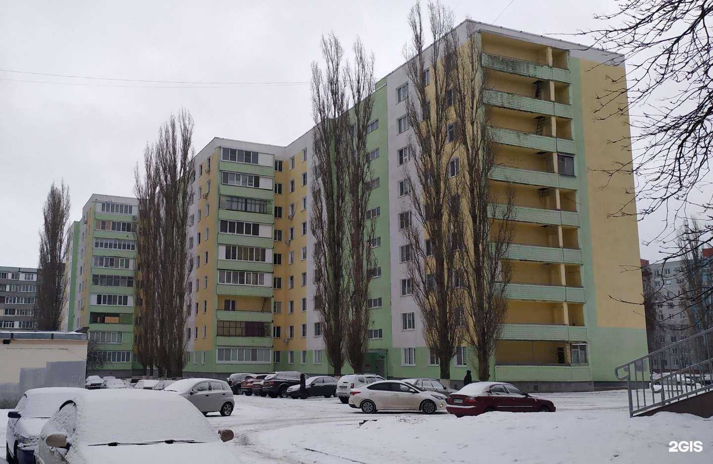 Отзывы на компанию Вет-Премиум в Старом Осколе c фото - фотография 2 из 2