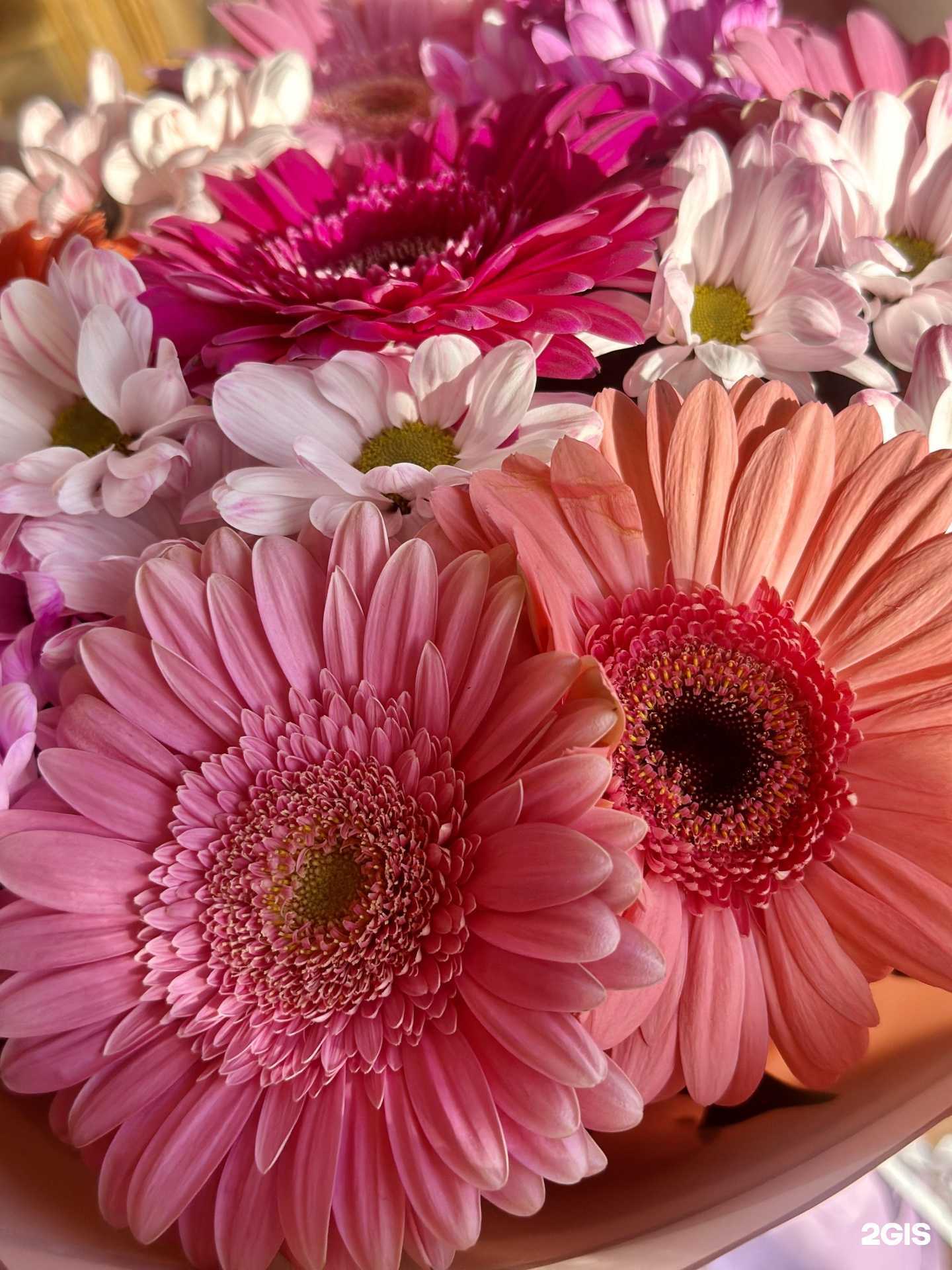 Отзывы на компанию Цветыопторг в г. Воронеж c фото