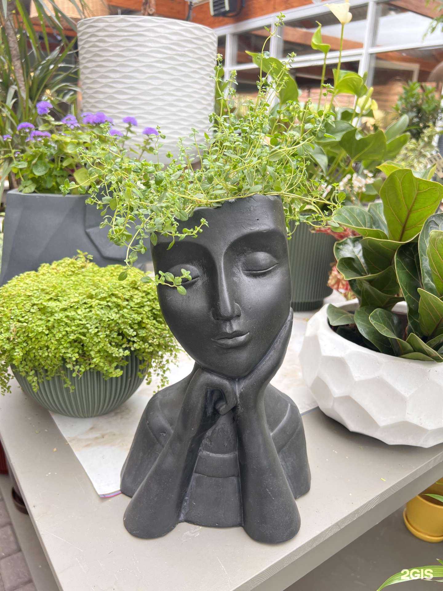 Отзывы на компанию Парк в Калининграде c фото