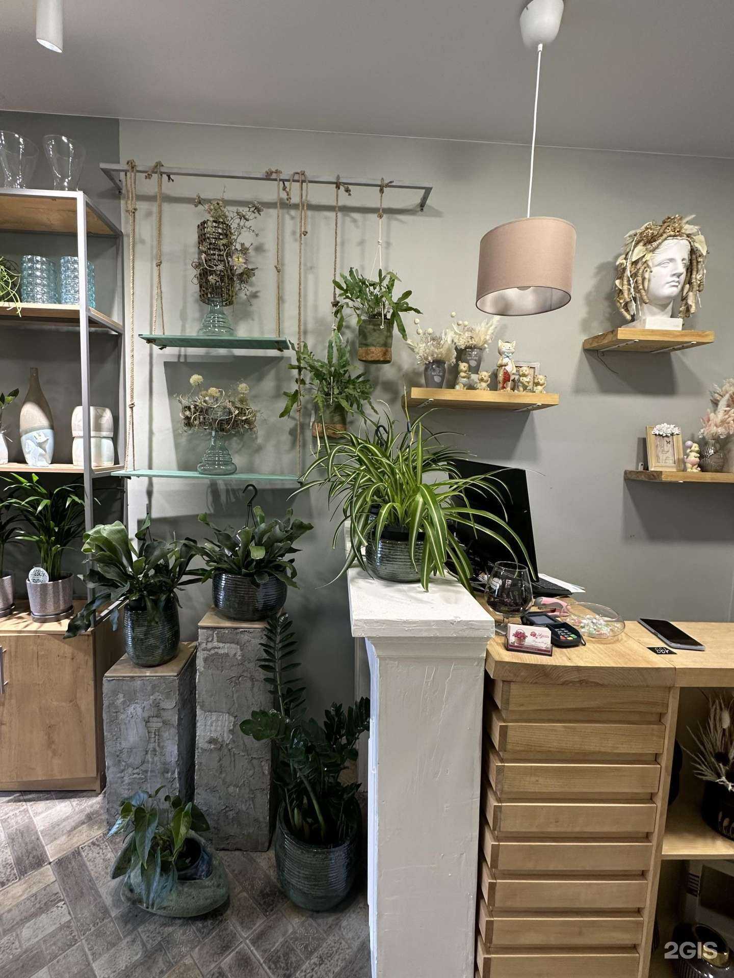 Отзывы на компанию Азалия в Барнауле c фото