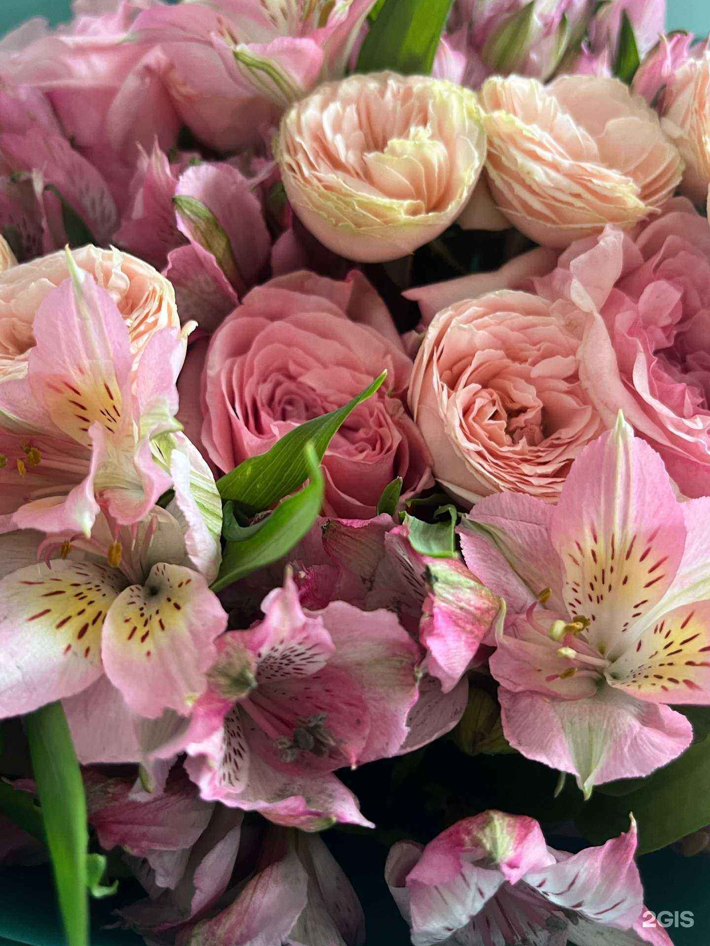 Отзывы на компанию Цветочный дворик в Владивостоке c фото