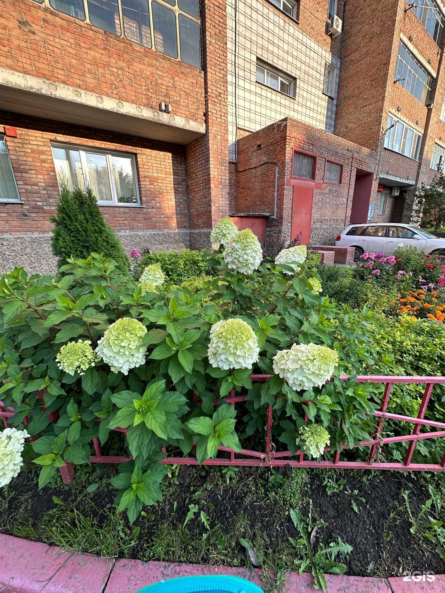 Отзывы на компанию Fashion Campaign в Новосибирске c фото - фотография 2 из 2