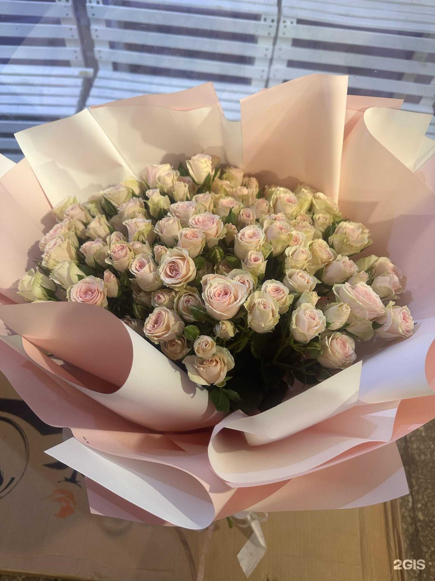 Отзывы на компанию Амелия в г. Владивосток c фото