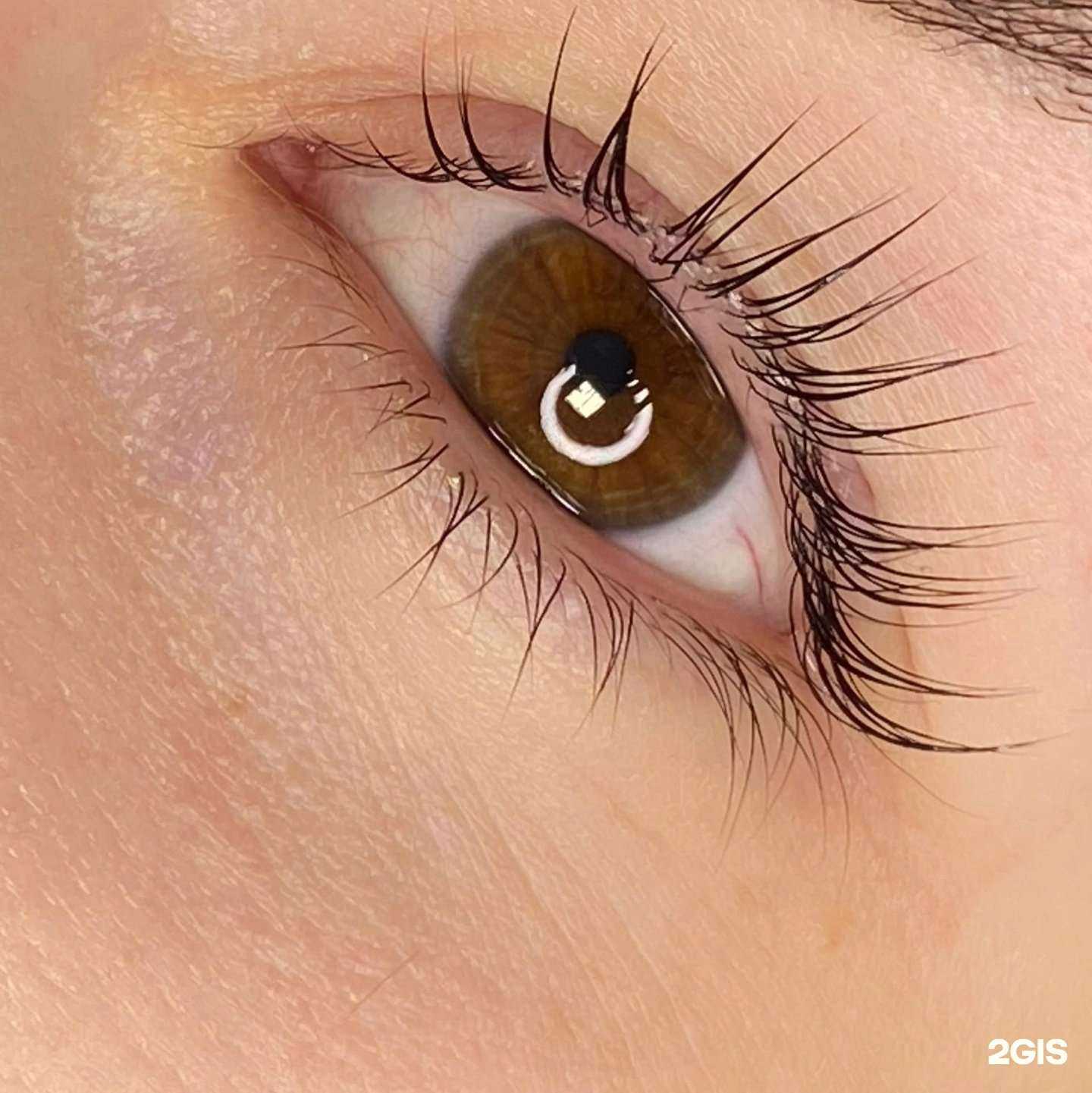 Отзывы на компанию Lash&Brow studio в г. Сургут c фото