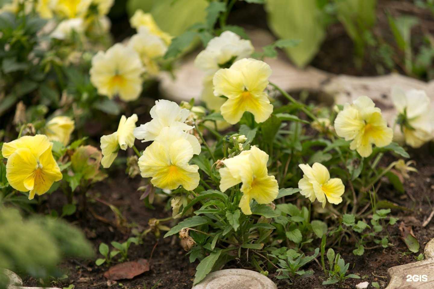 Отзывы на компанию Гимназия им. Сергия Радонежского в г. Йошкар-Ола c фото