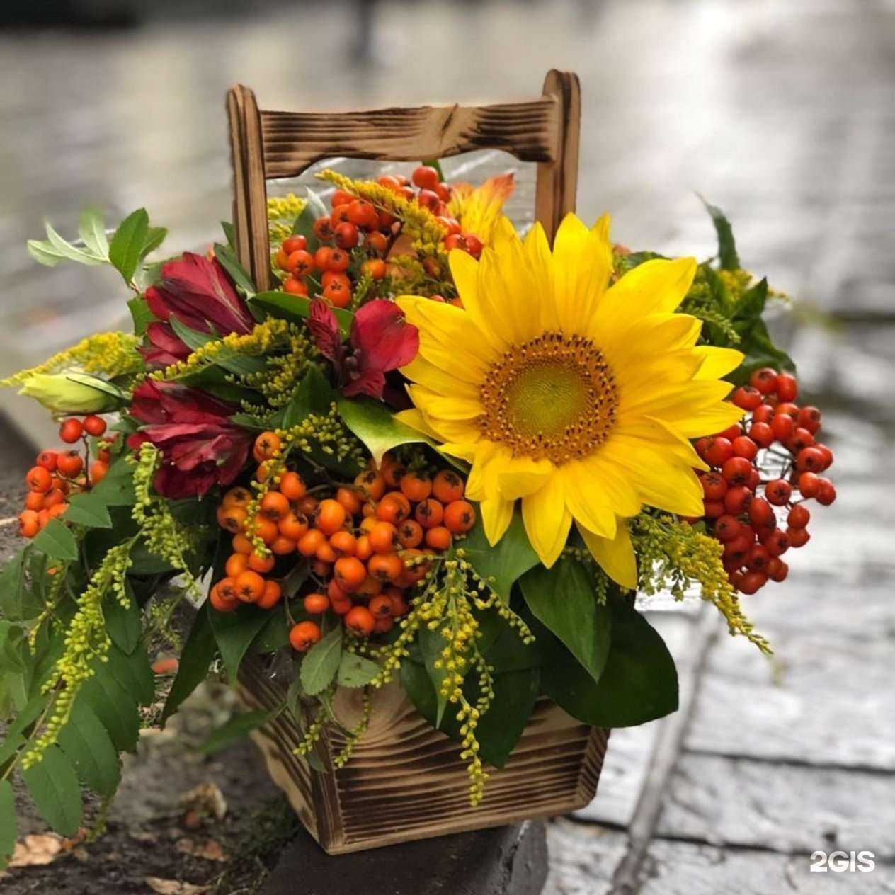 Отзывы на компанию Клевер в Новосибирске c фото