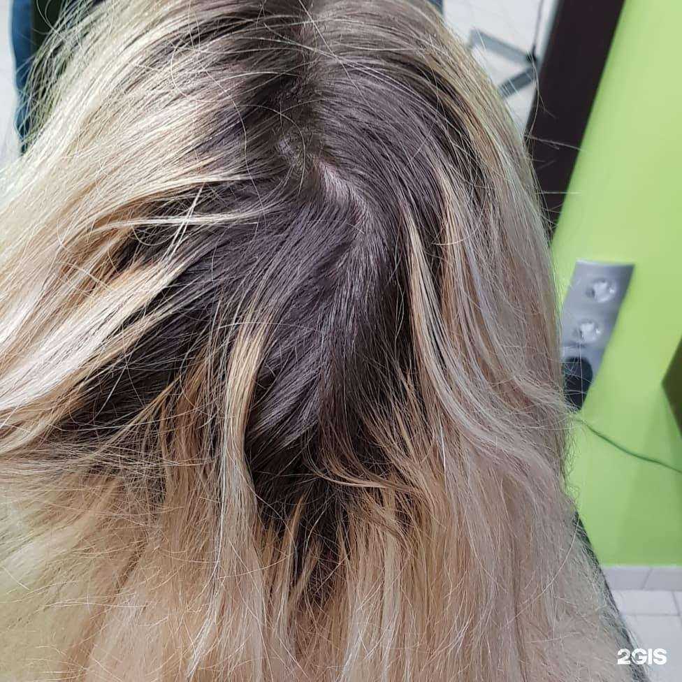 Отзывы на компанию Аледа в Сочи c фото