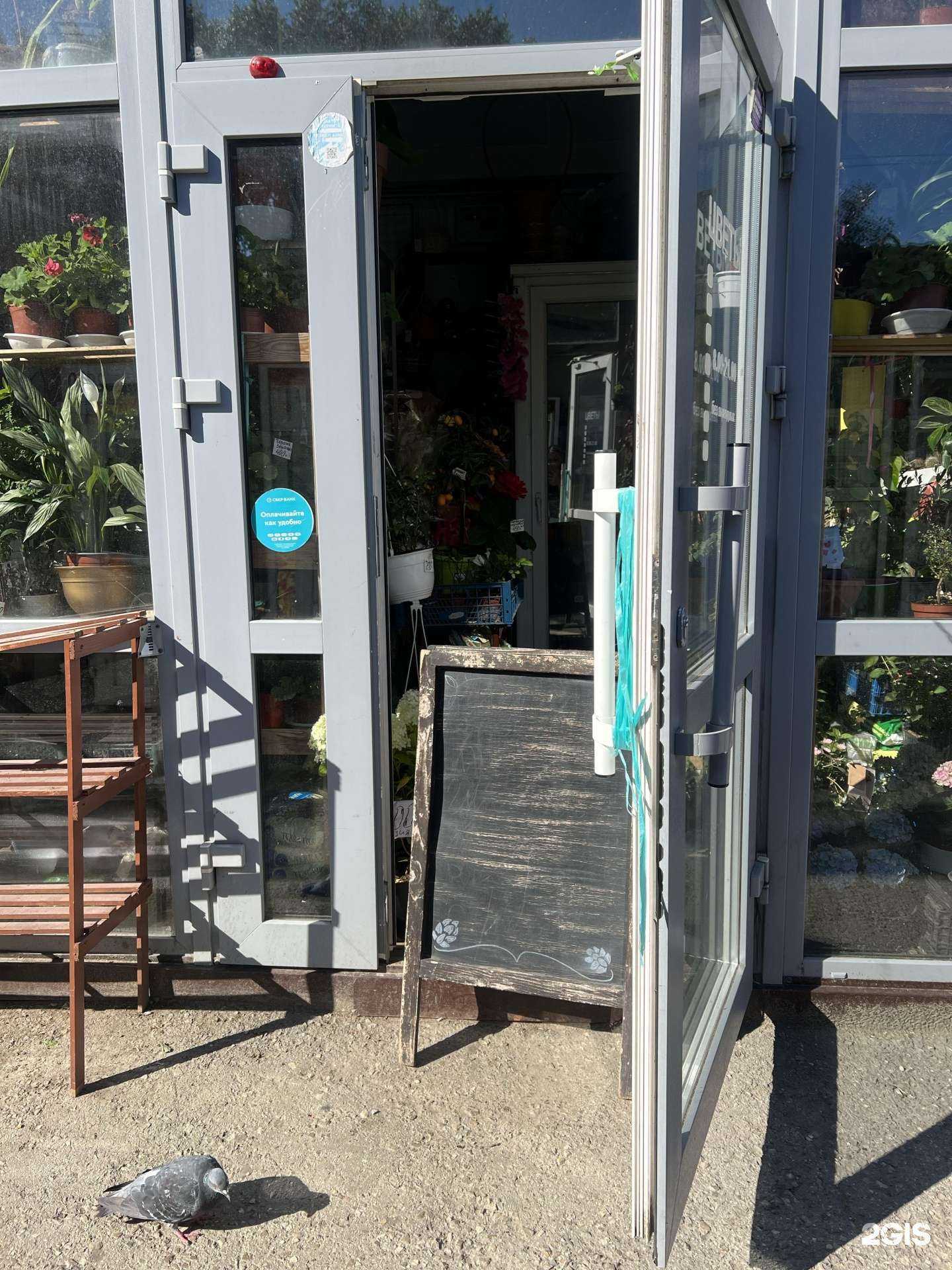 Отзывы на компанию Магазин цветов в г. Пермь c фото