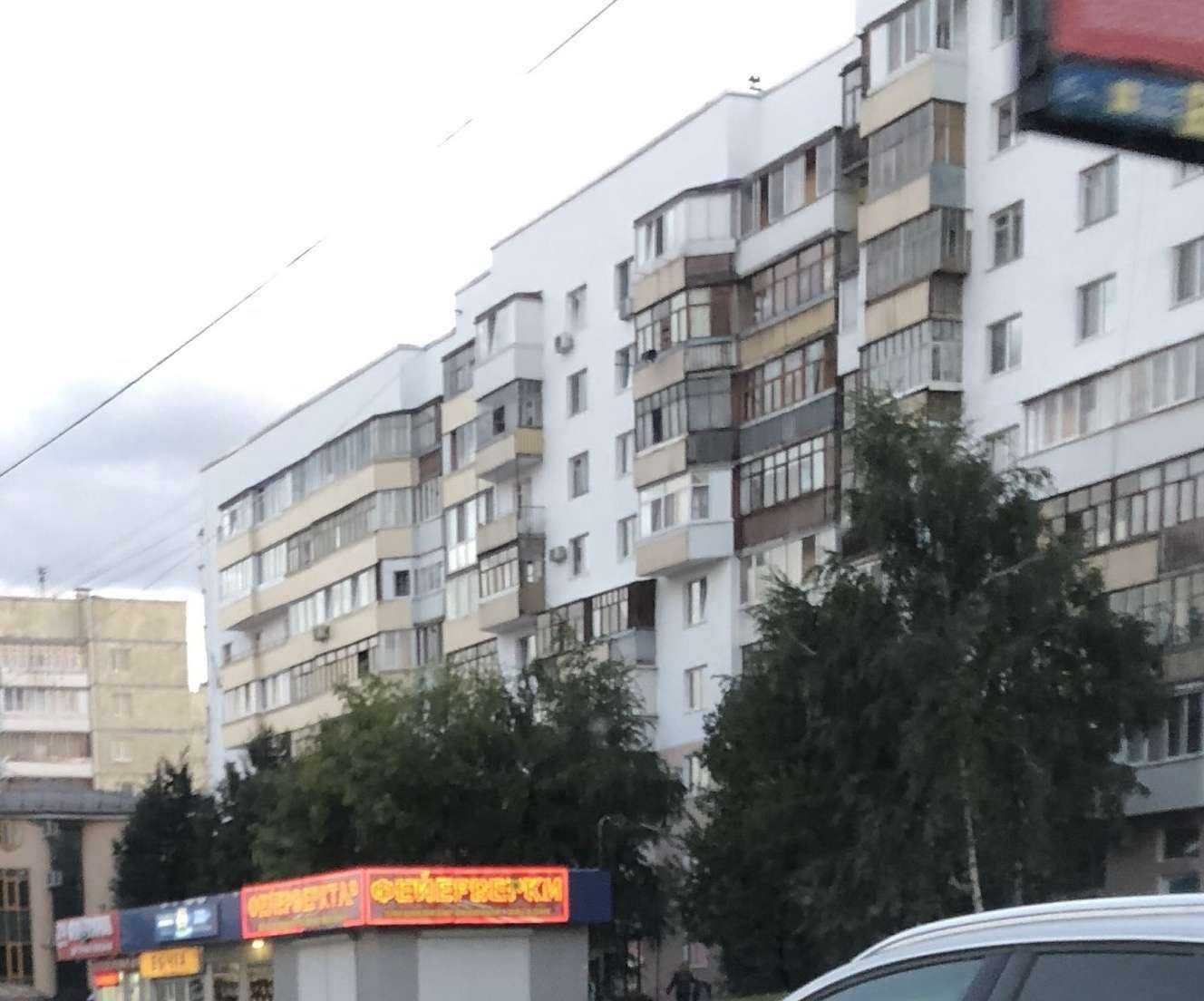 Отзывы на компанию Галерея ОКОН в Уфе c фото - фотография 2 из 2