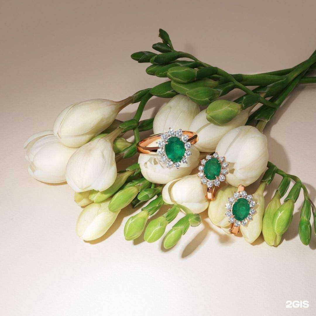 Отзывы на компанию SUNLIGHT в Балашове c фото