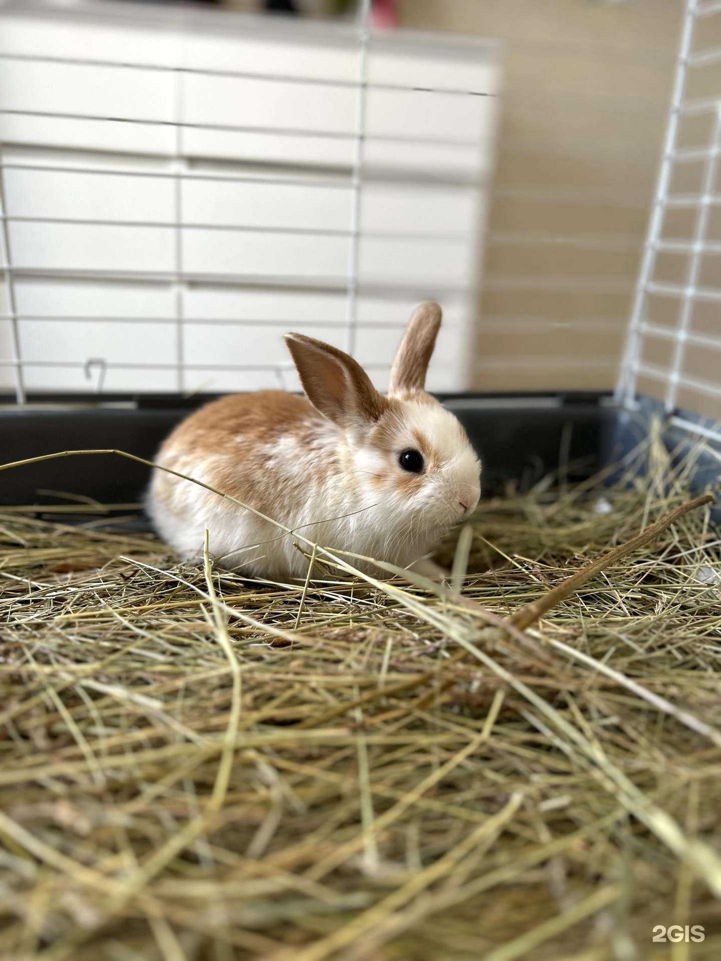 Отзывы на компанию Зоомагазин в г. Красноярск c фото