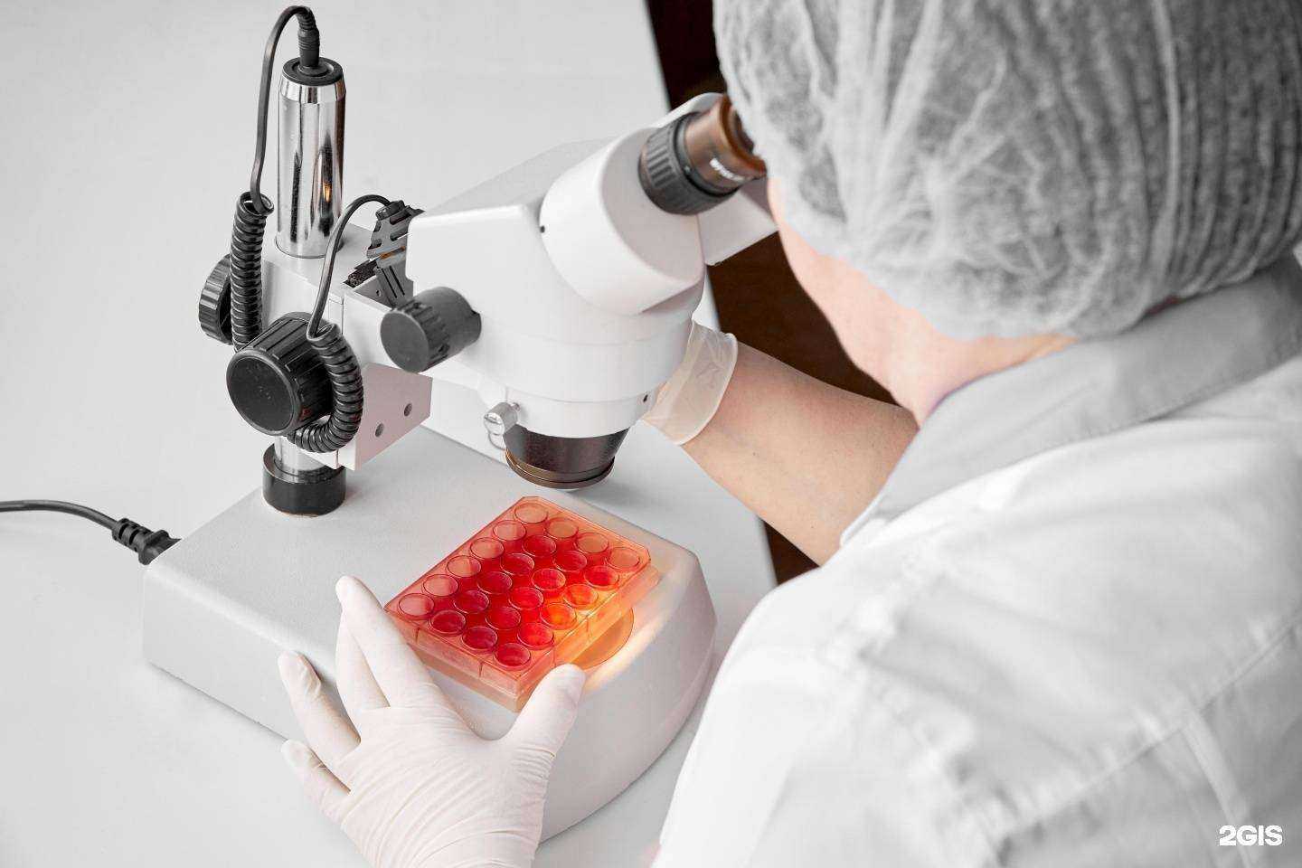 Отзывы на компанию Benefit-bio в г. Пермь c фото