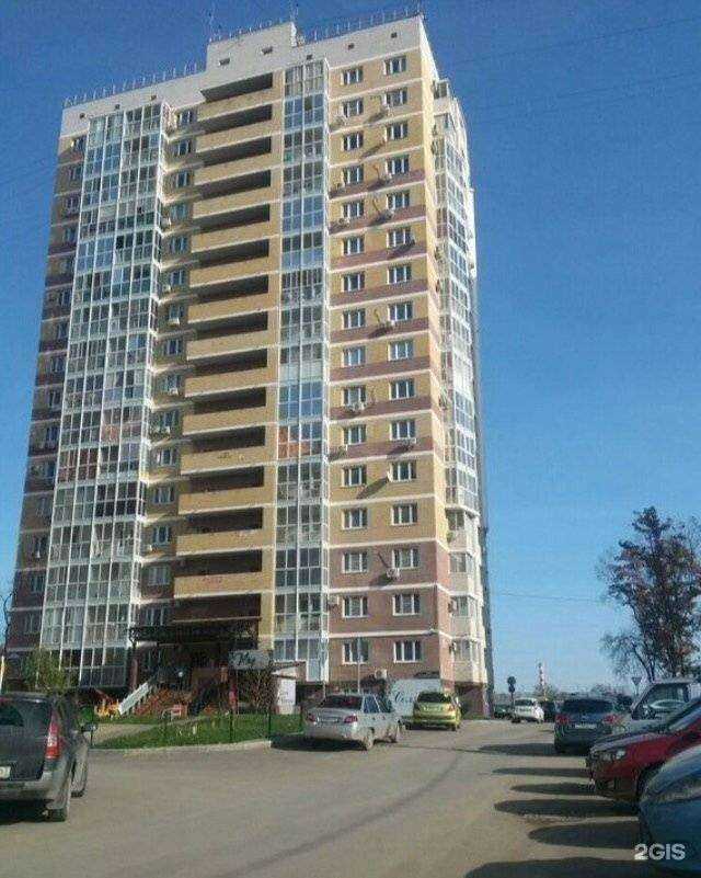 Отзывы на компанию Кит и лиса в Краснодаре c фото - фотография 2 из 2