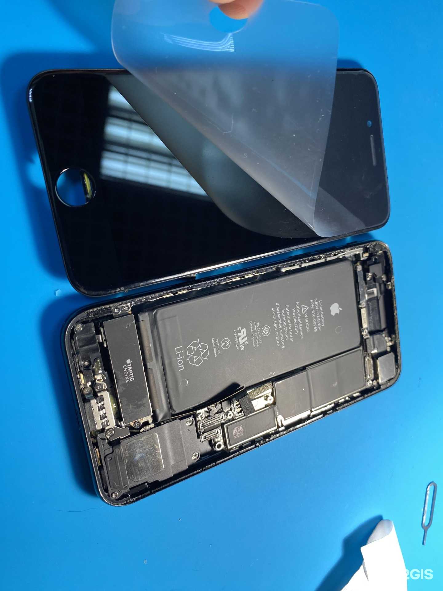 Отзывы на компанию Яблоки Russia в Челябинске c фото