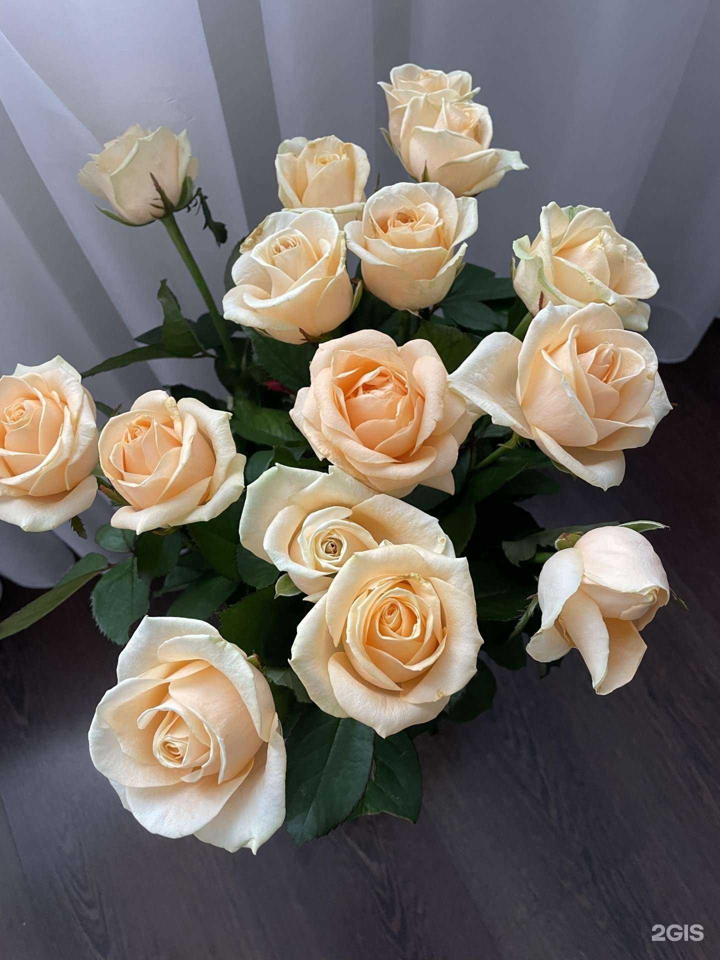 Отзывы на компанию Бизнес-букет в Магнитогорске c фото