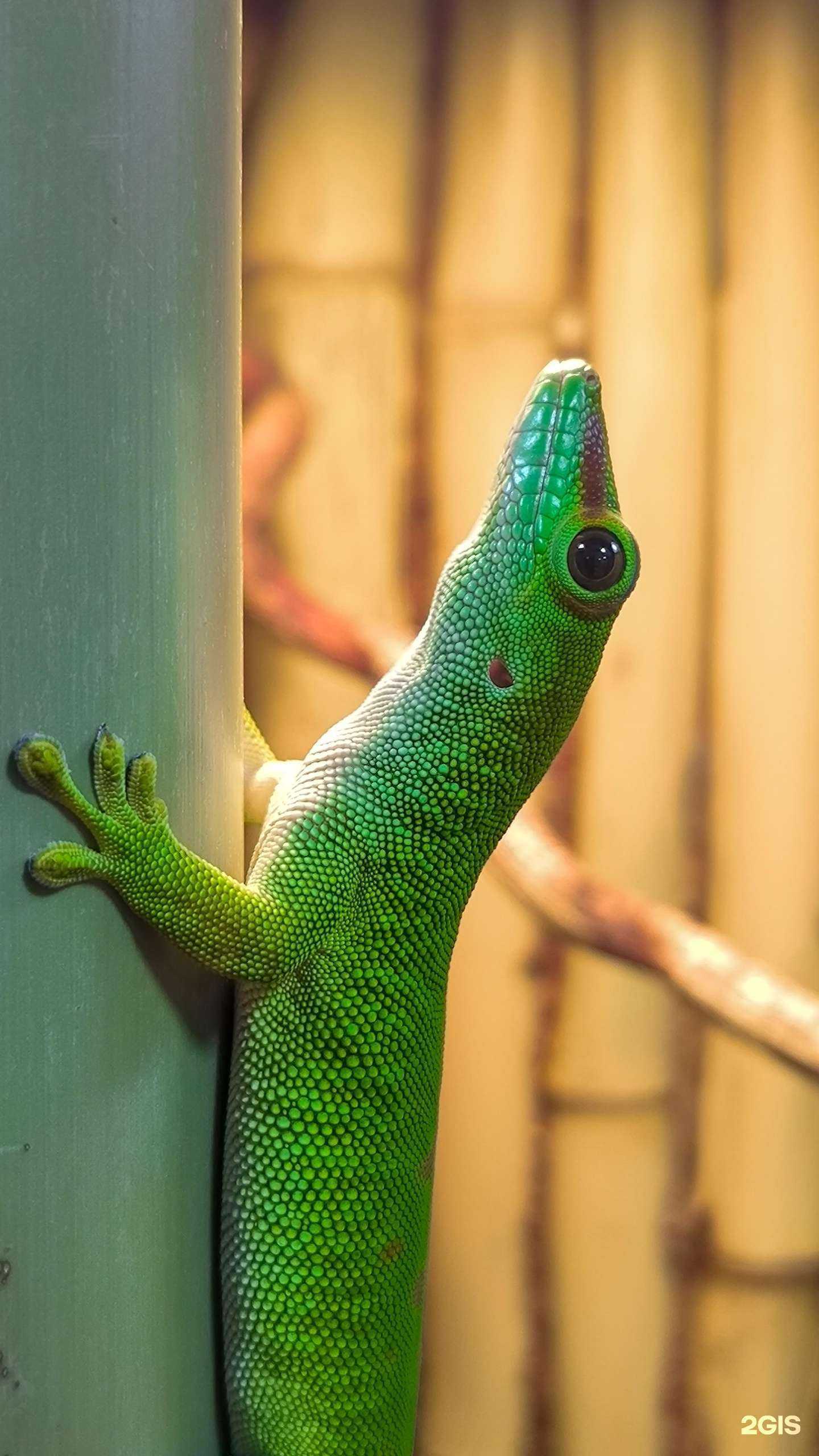 Отзывы на компанию Туман  в Красноярске c фото