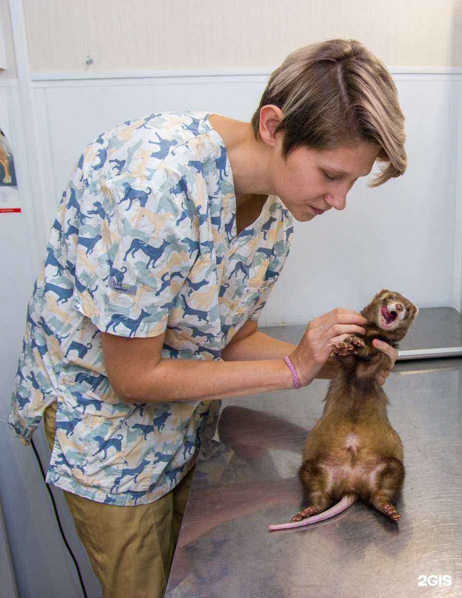 Отзывы на компанию ZooАкадемик в Сыктывкаре c фото