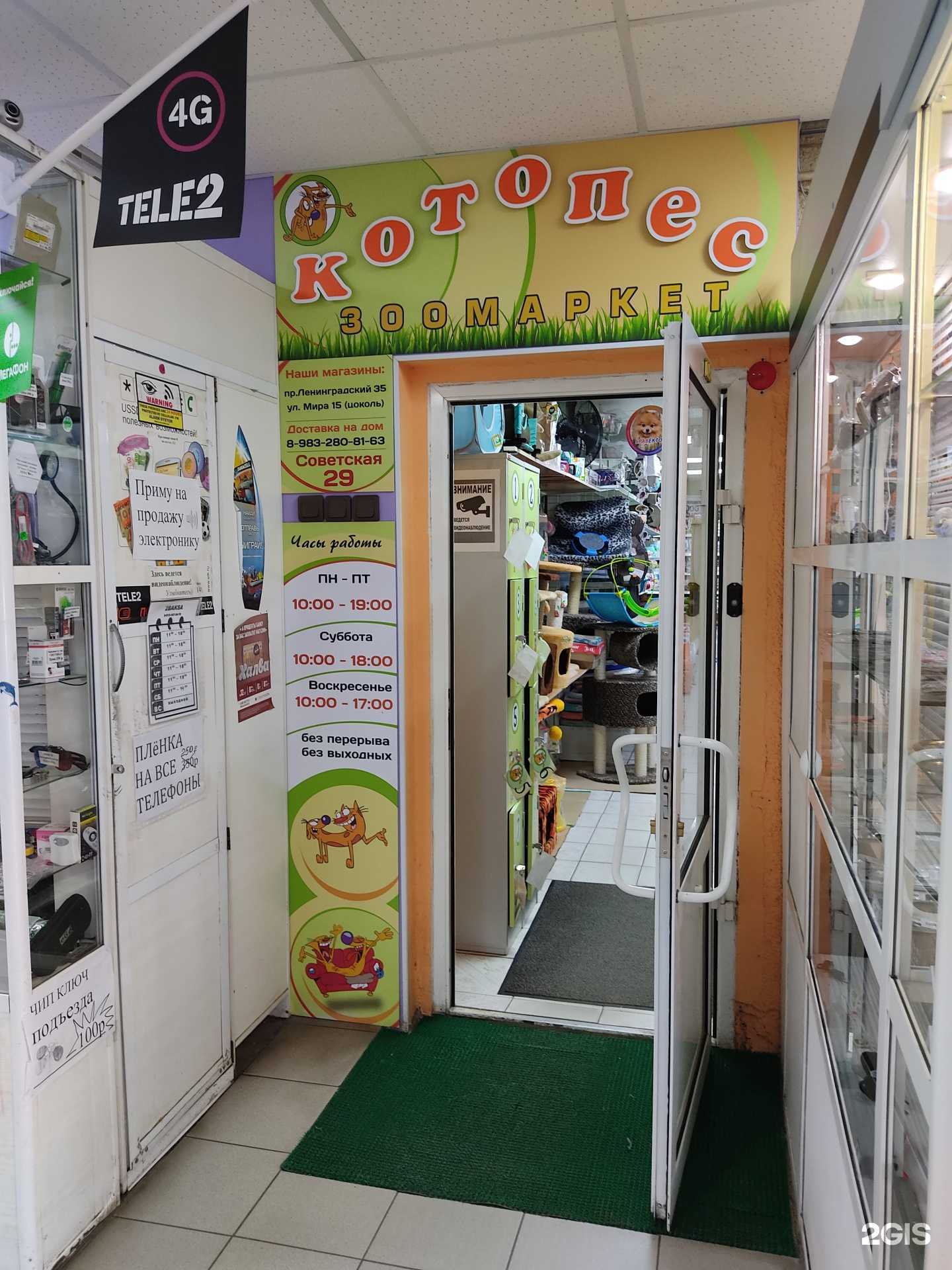 Отзывы на компанию Котопес в Железногорске c фото