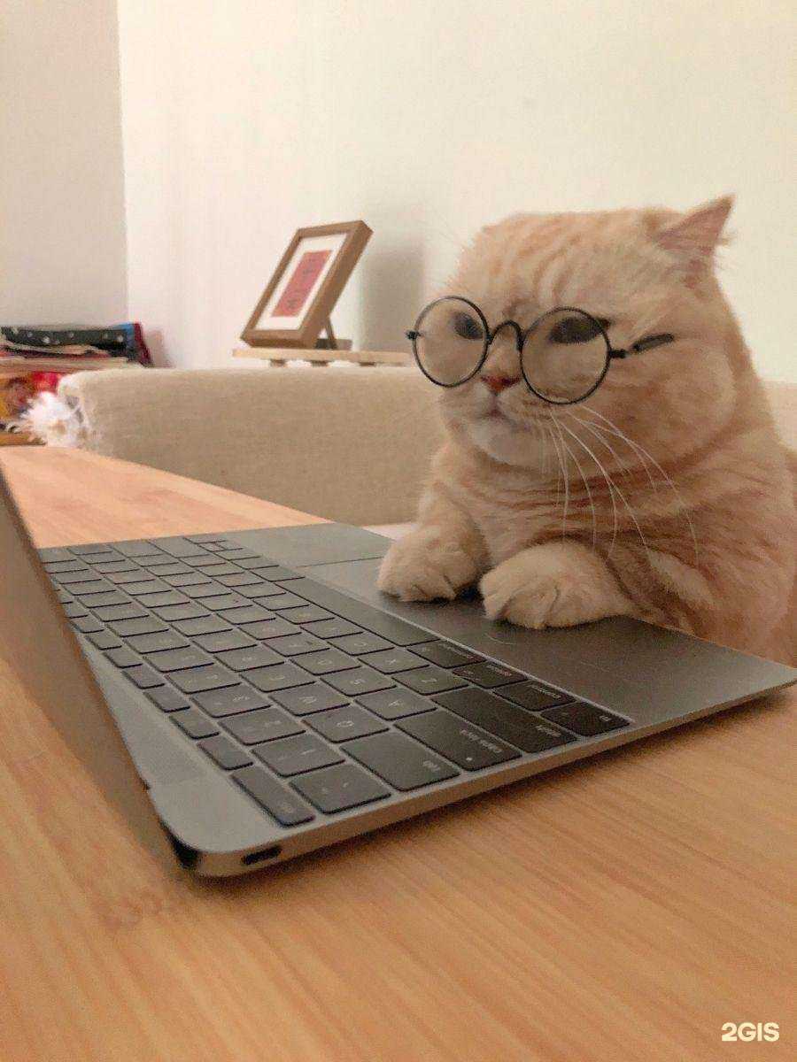 Отзывы на компанию Проектная лаборатория в г. Долгопрудный c фото