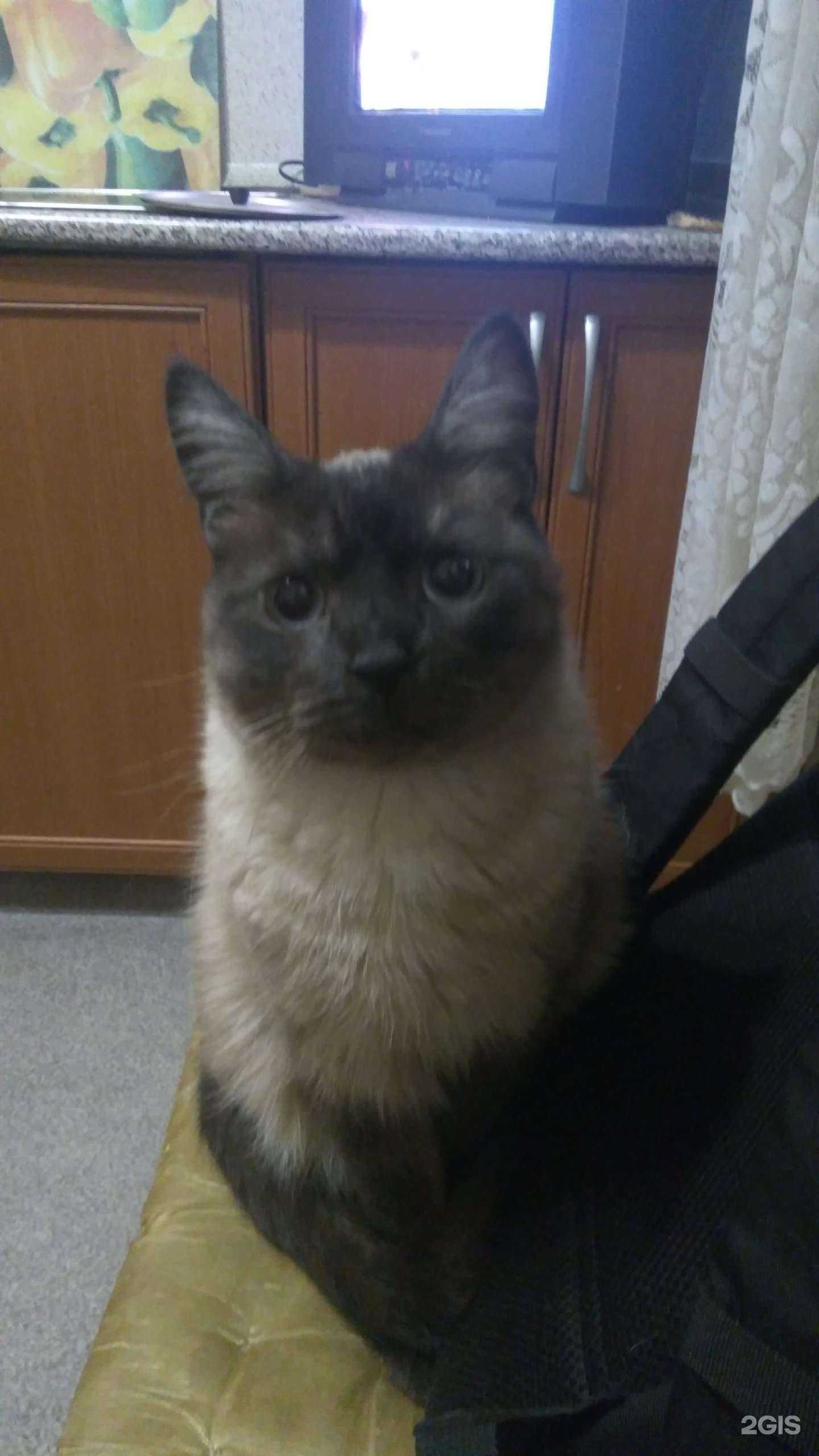 Отзывы на компанию Фаворит в г. Екатеринбург c фото