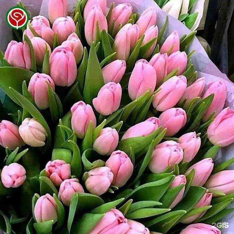 Отзывы на компанию РуБукет в Люберцах c фото