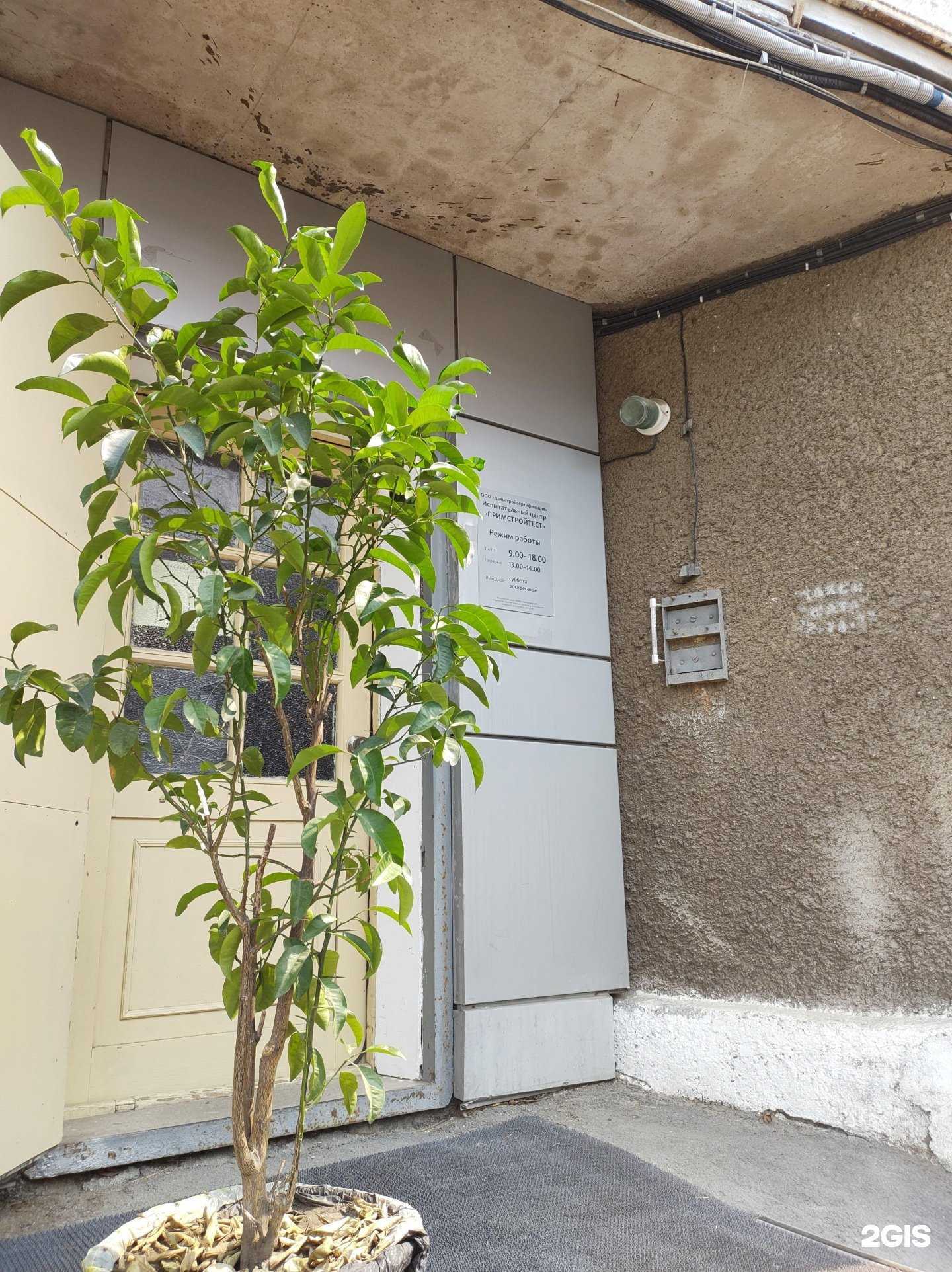 Отзывы на компанию Дальстройсертификация в Владивостоке c фото