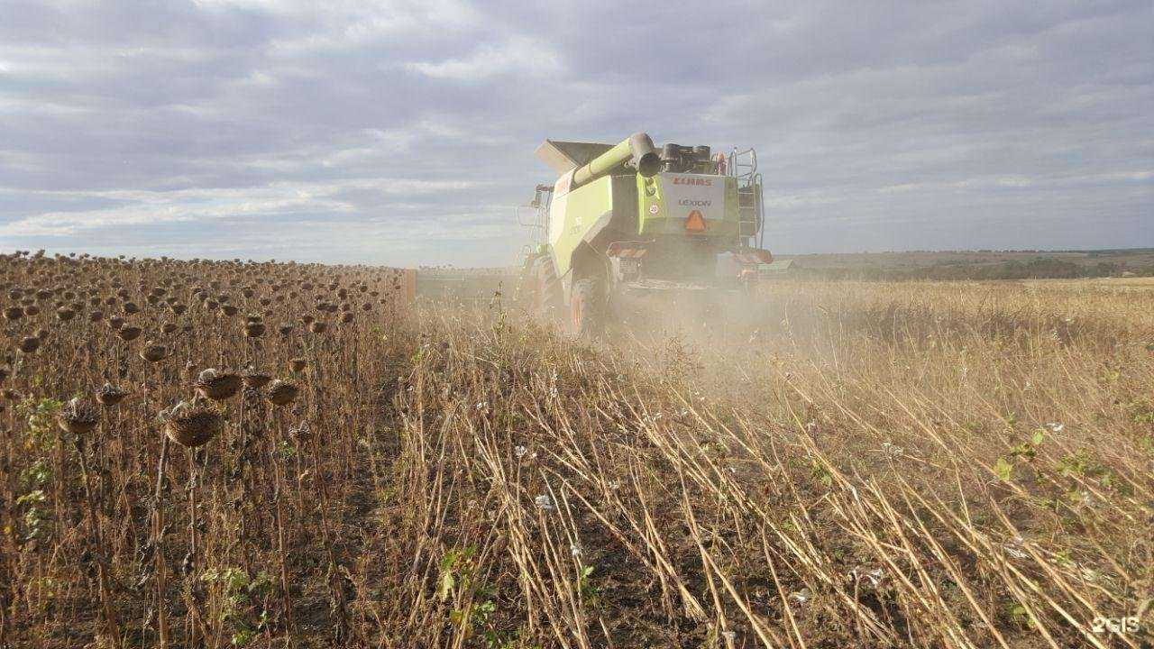 Отзывы на компанию Победа в Волгограде c фото