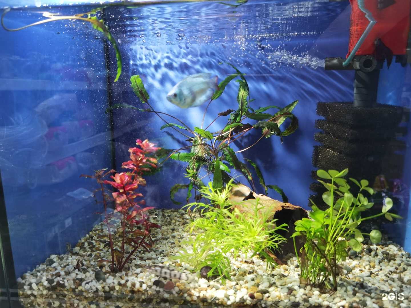 Отзывы на компанию Экзотика в Кемерове c фото