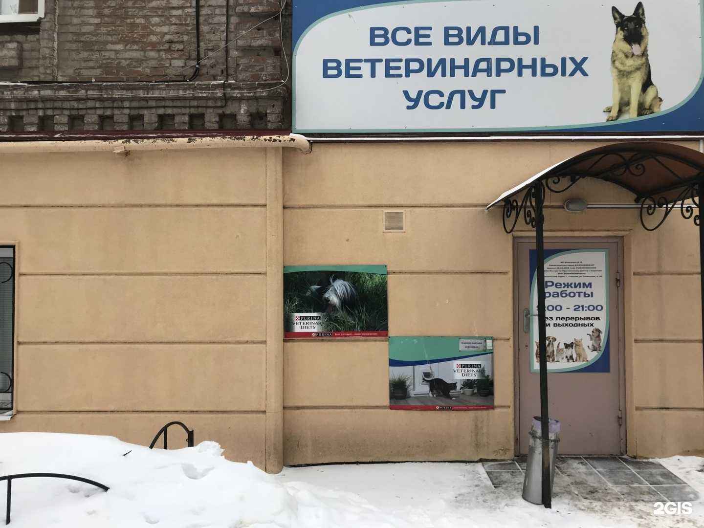 Отзывы на компанию Дон Терьеро в г. Саратов c фото