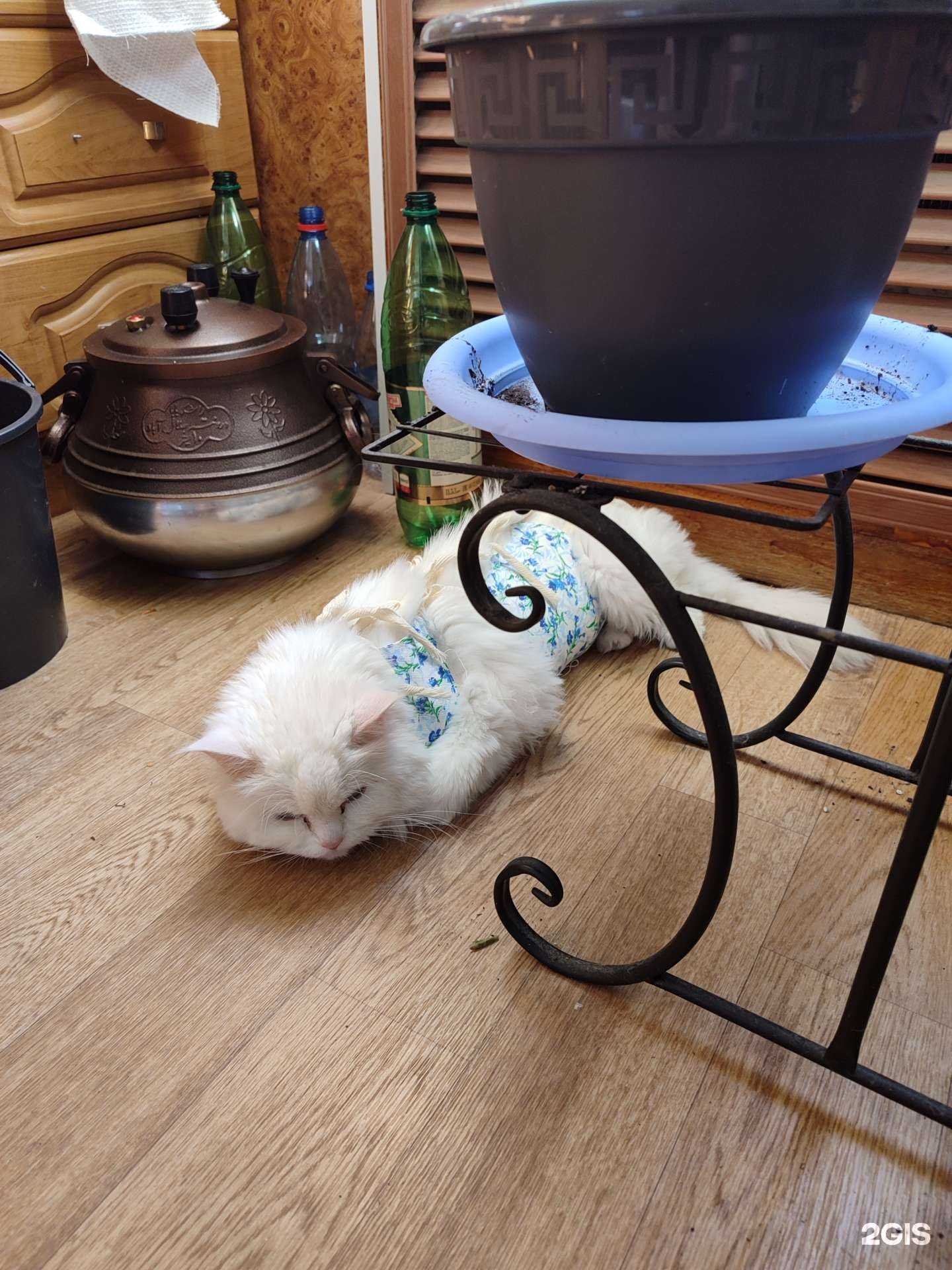 Отзывы на компанию Норильский отдел ветеринарии в Норильске c фото