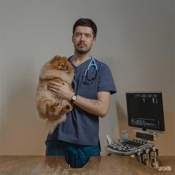 Отзывы на компанию Доброе сердце в г. Пенза c фото