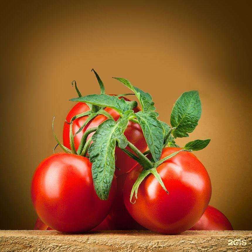 Отзывы на компанию Дом семян в Новосибирске c фото