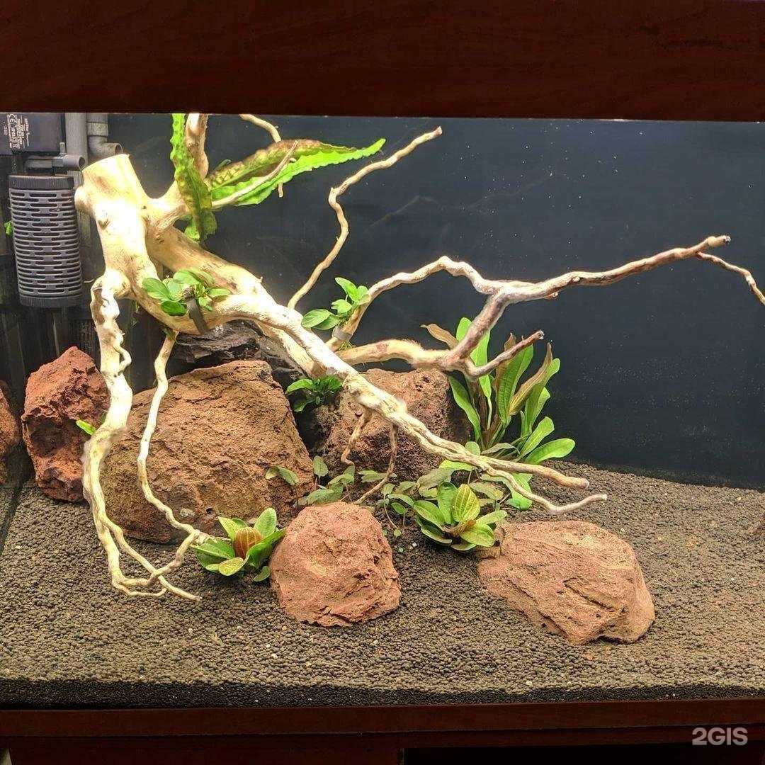 Отзывы на компанию Арована в Воронеже c фото