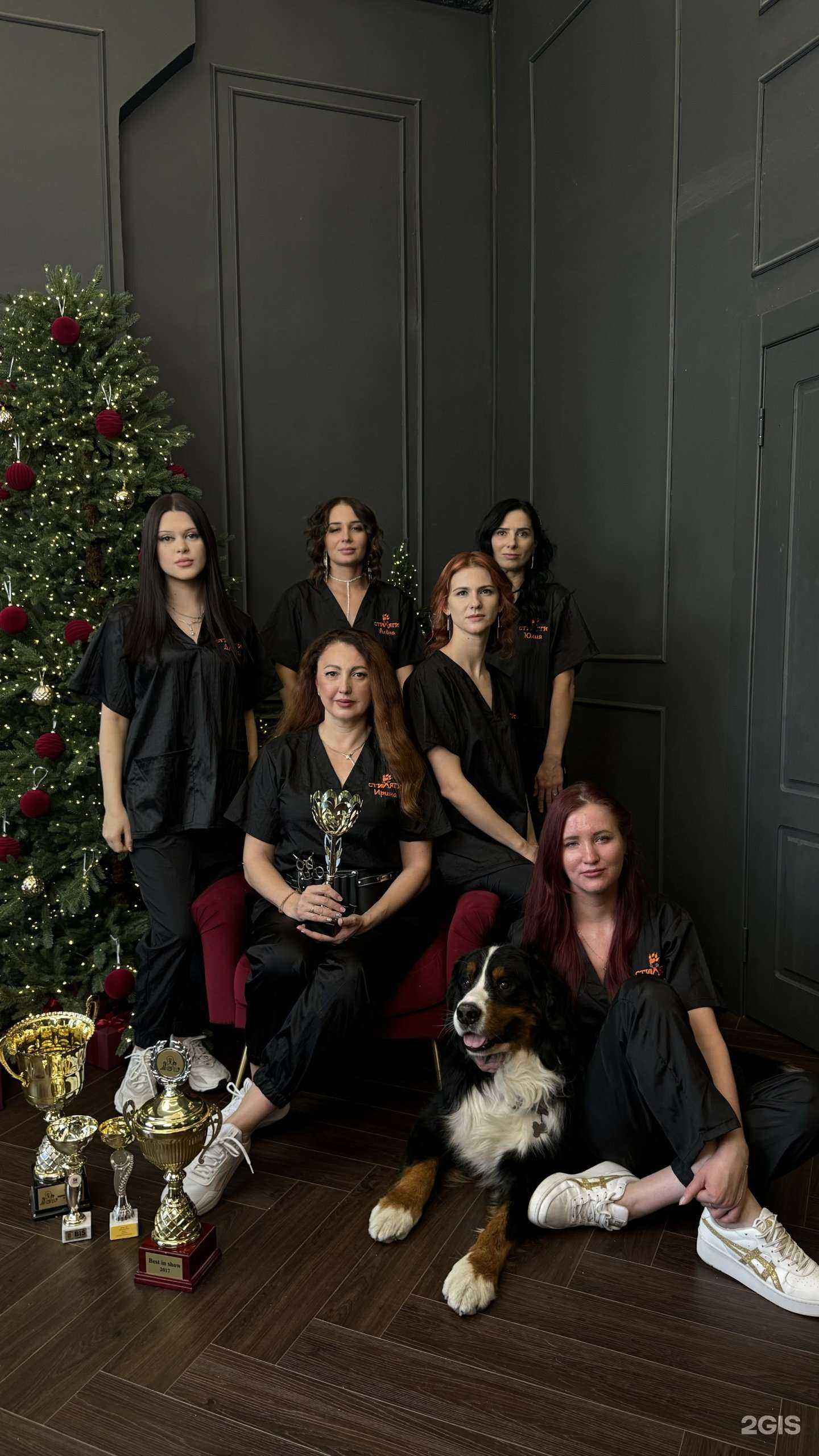 Отзывы на компанию Стиляги в Владивостоке c фото