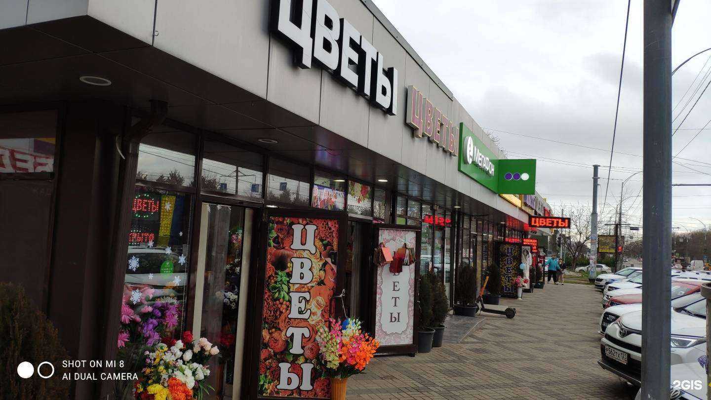 Отзывы на компанию билайн в Краснодаре c фото - фотография 2 из 2